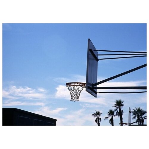 фото Постер на холсте баскетбольное кольцо 56см. x 40см. твой постер
