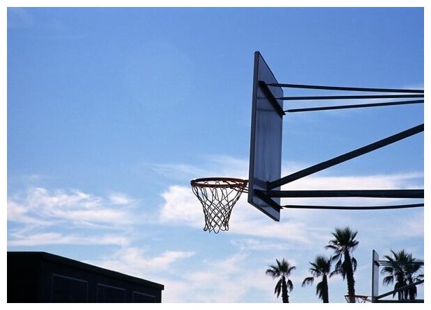 Постер на холсте Баскетбольное кольцо 56см. x 40см.