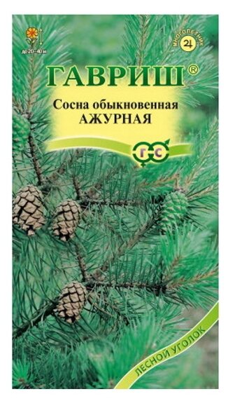 Семена. Сосна обыкновенная "Ажурная" (вес: 02 г)