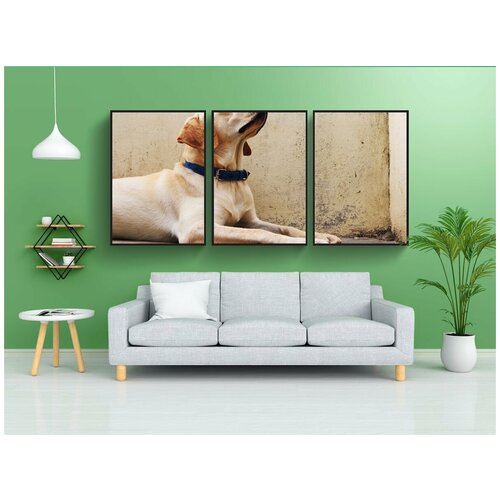 фото Набор модулных постеров для интерьера "собака, лабрадор, домашний питомец" 60x90 см. в тубусе, без рамки lotsprints