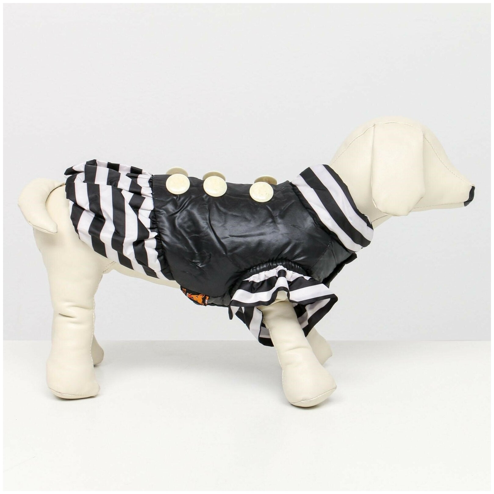 Куртка для собак с воланами, размер 2 (ДС 23, ОШ 26, ОГ 33 см), чёрная