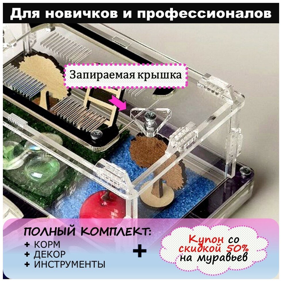 Муравьиная ферма средняя 20*16 Планета с запирающейся крышкой Полный комплект - фотография № 2