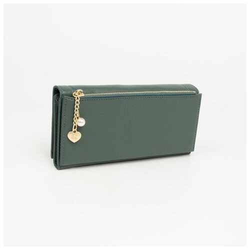 фото Кошелёк на магнитах, цвет зелёный