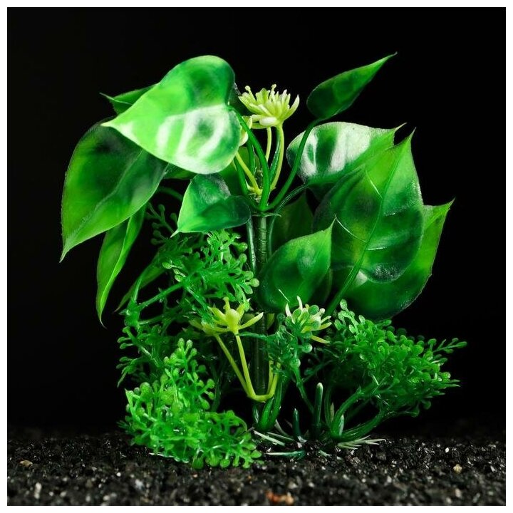 Пижон Аква Растение искусственное аквариумное, 10 см, зелёное - фотография № 1