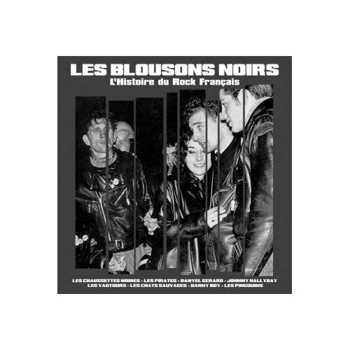 Сборник - Les Blousons Noirs - L'histoire Du Rock Francais johnny hallyday et ses fans au festival de rock n roll