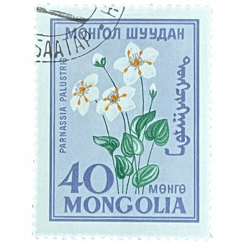 Почтовая марка Монголия 40 мунгу 1960 г. Стандартные марки. Цветы почтовая марка монголия 30 мунгу 1960 г газеты серия 40 лет монгольской прессе