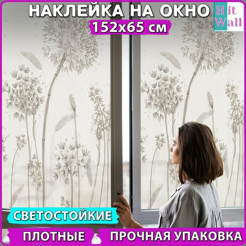 Пленка на окно от солнца 