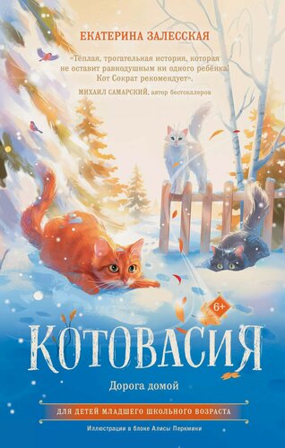 Изображение товара Котовасия. Дорога домой