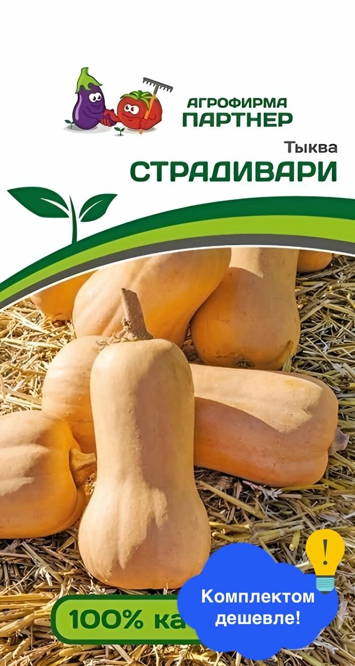 Семена овощей Агрофирма Партнер  Тыква Страдивари 