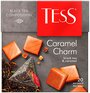 Чай черный Tess Caramel charm в пирамидках