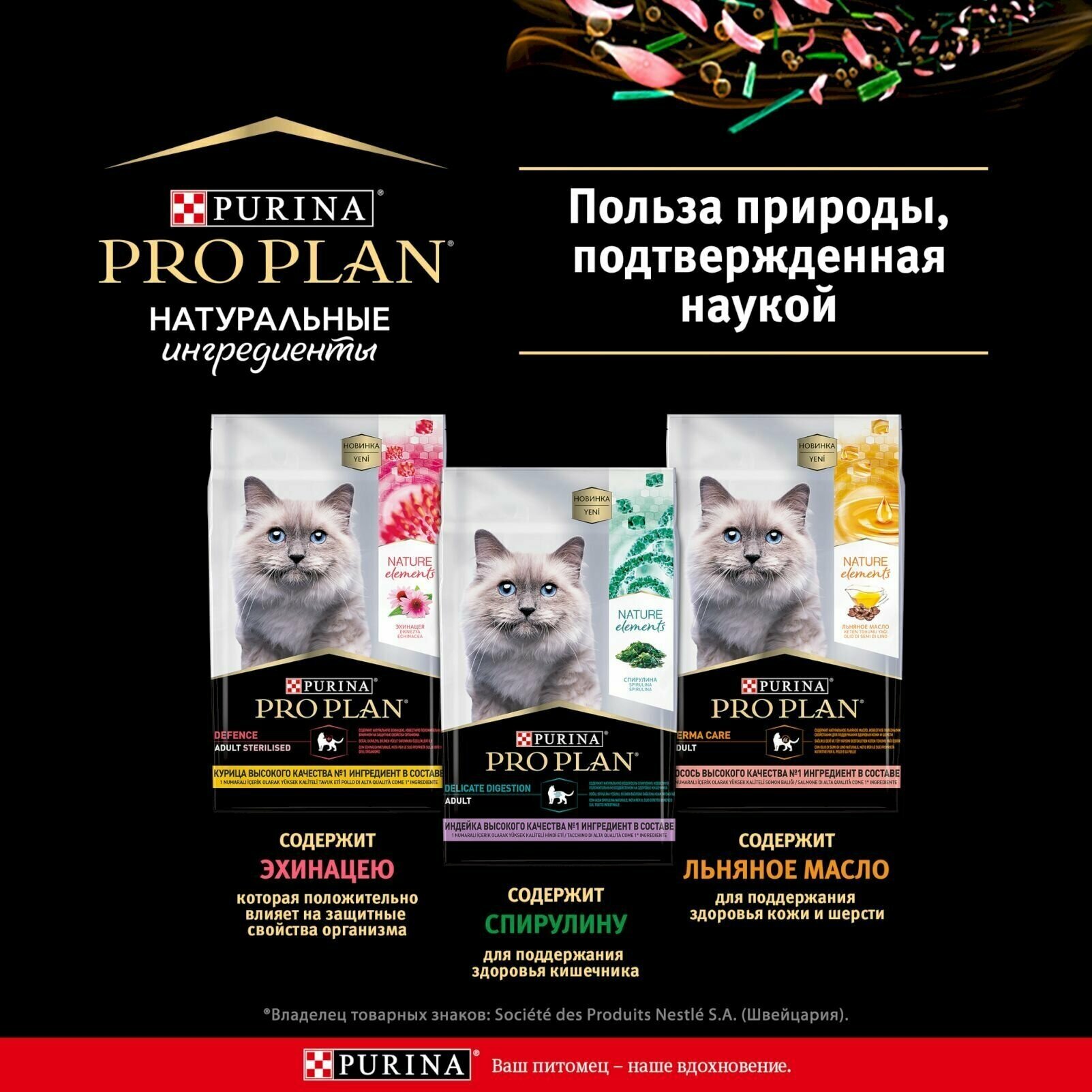 Сухой корм Pro Plan® Nature Elements для взрослых кошек с чувствительным пищеварением или особыми предпочтениями в еде, с высоким содержанием индейки, 200 г - фотография № 7