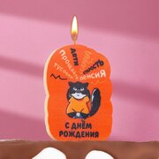 Страна Карнавалия Свеча для торта "С днем рождения", кот, 6,5 см, коричневая