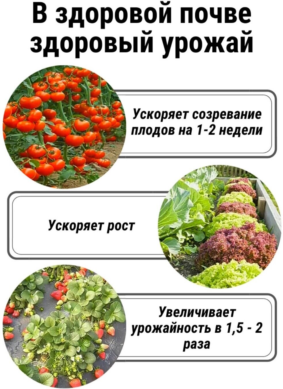 Байкал ЭМ 1 (40мл.) + Эм-Патока (100 мл.), 2 в 1, биоудобрение - концентрат - заменит 5 т. навоза и массу органических удобрений, описание прилагается - фотография № 9