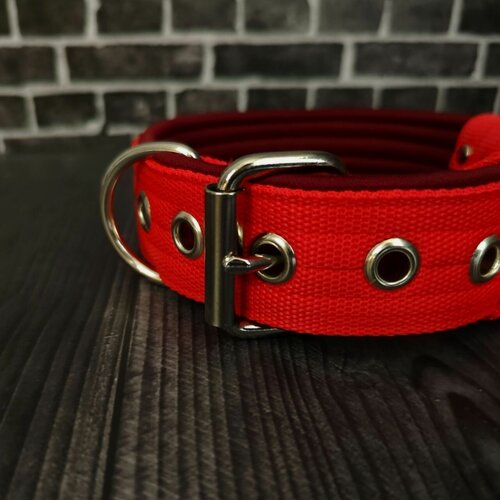 Изображение товара Ошейник для собак средних и крупных пород. Ширина 4.5 см. Сварная фурнитура. Обхват 30-42 см.
