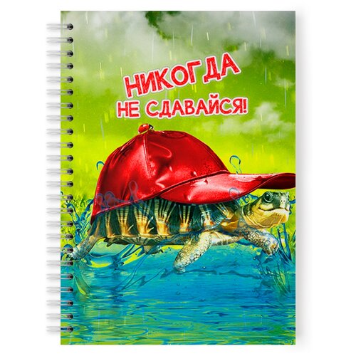 фото Тетрадь 48 листов в клетку с рисунком черепаха в бейсболке drabs