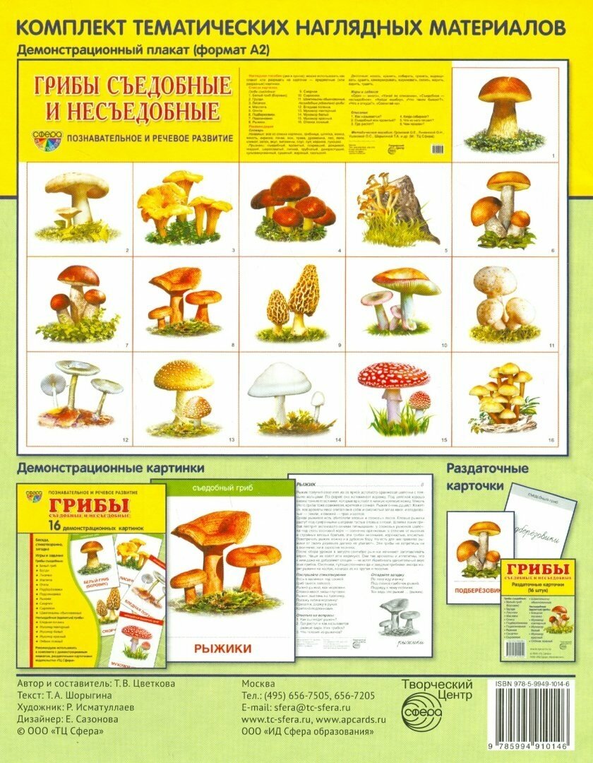 Демонстрационные картинки "Грибы съедобные и несъедобные" (173х220 мм) - фото №6