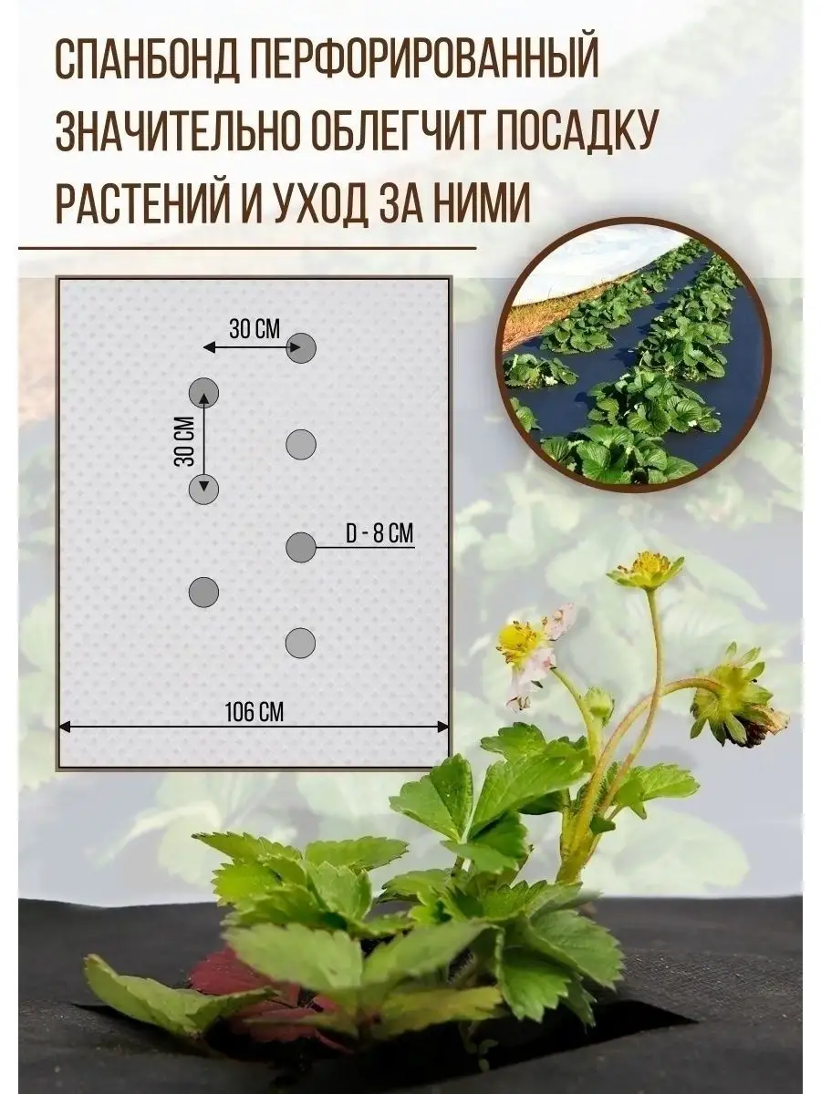 Спанбонд, 1шт., перфорированный, двухслойный 1.06х10м, 80Г/Кв.М. - Агроткань от сорняков с разметкой в рулоне, укрывной материал в ваш сад - фотография № 2