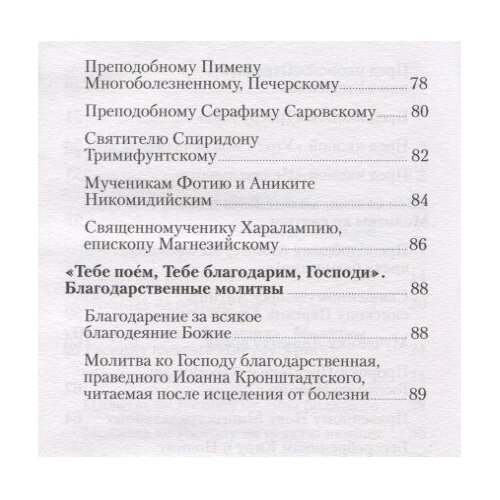 Молитвы врачам небесным. Как молиться болящим и о болящих - фото №8