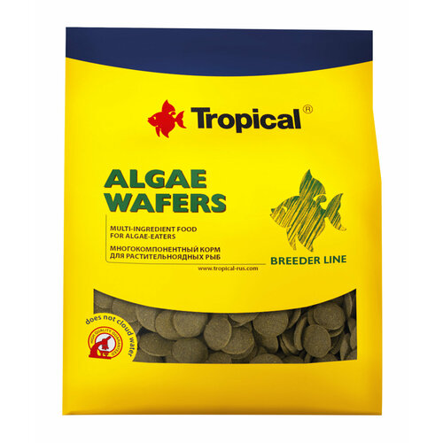 Корм Tropical Algae Wafers в виде чипсов для донных рыб, 300 г