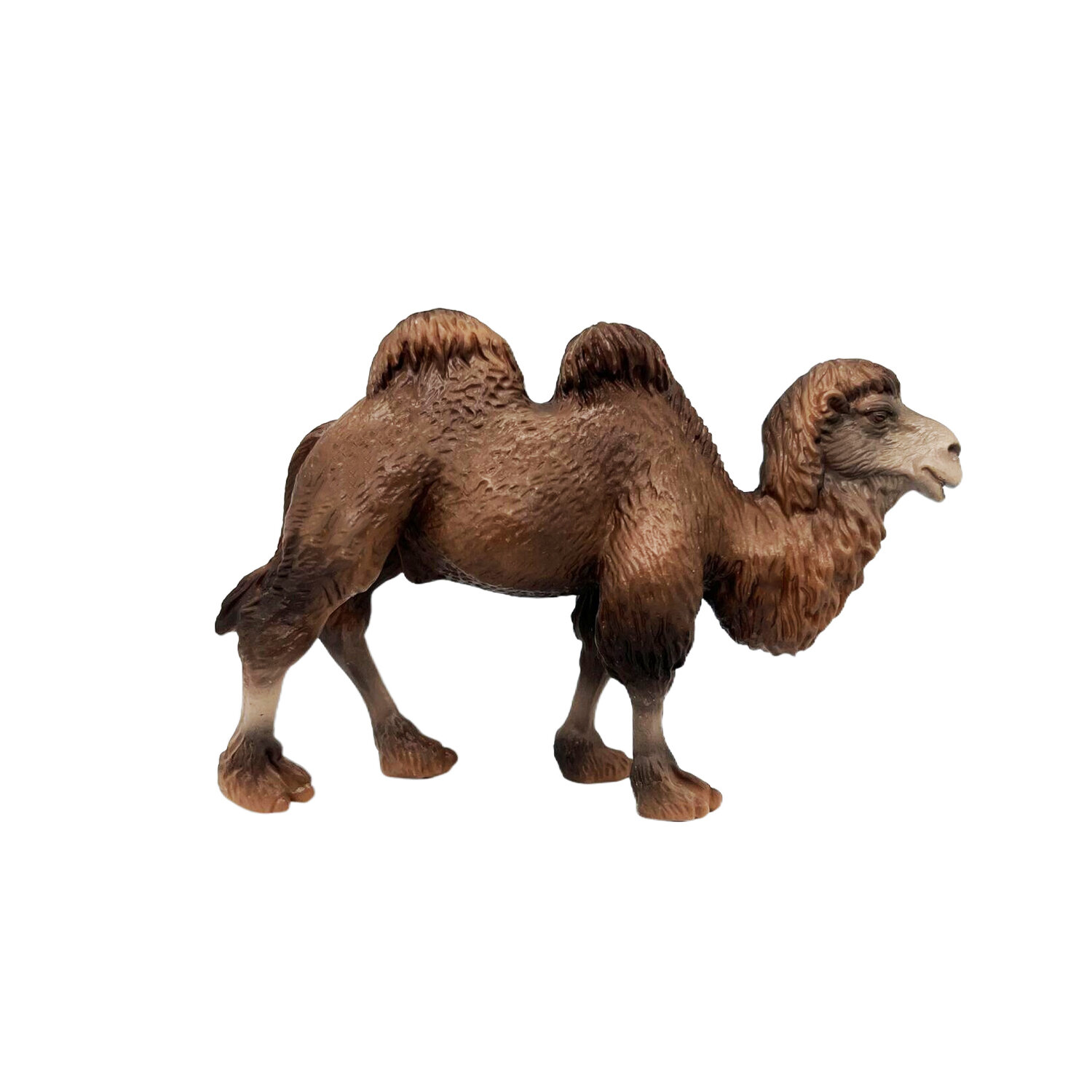 Фигурка - Двугорбый верблюд породы Бактриан