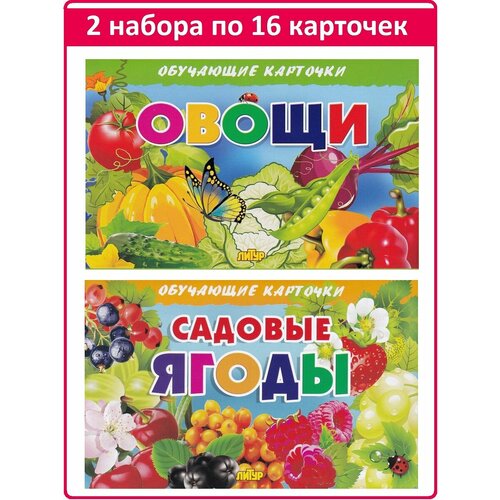 Обучающие карточки: Овощи, Садовые ягоды (2 комплекта) карточки европодвес садовые ягоды