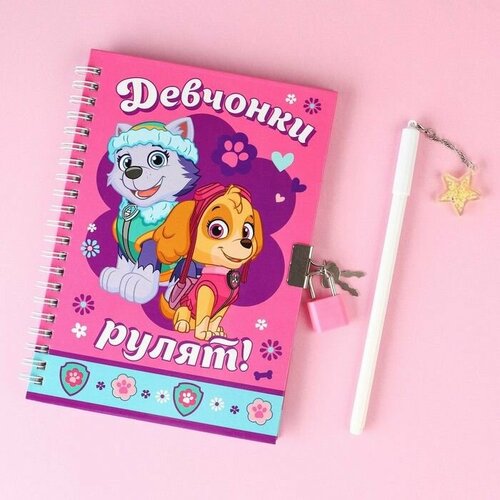 Подарочный набор записная книжка Скай и Эверест на замочке и ручка Paw Patrol 787₽