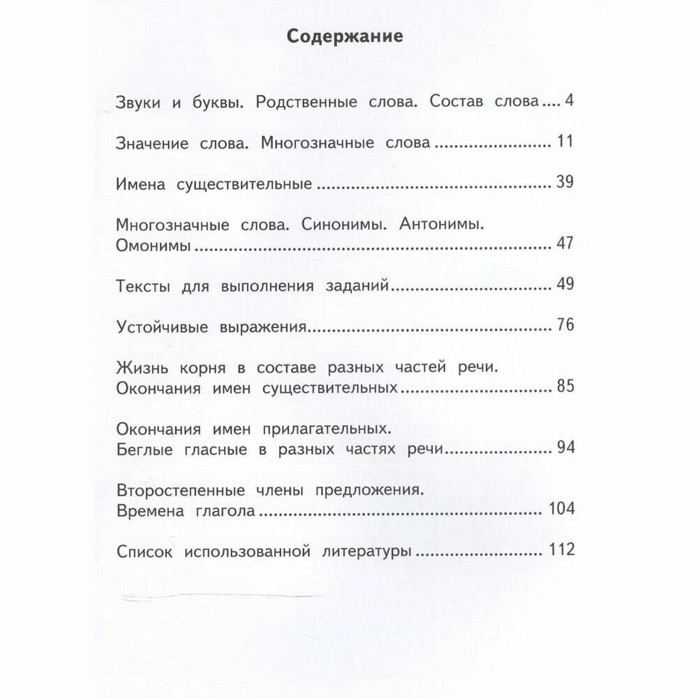 Русский язык. 3 класс. Школьная олимпиада. Тетрадь для самостоятельной работы - фото №3