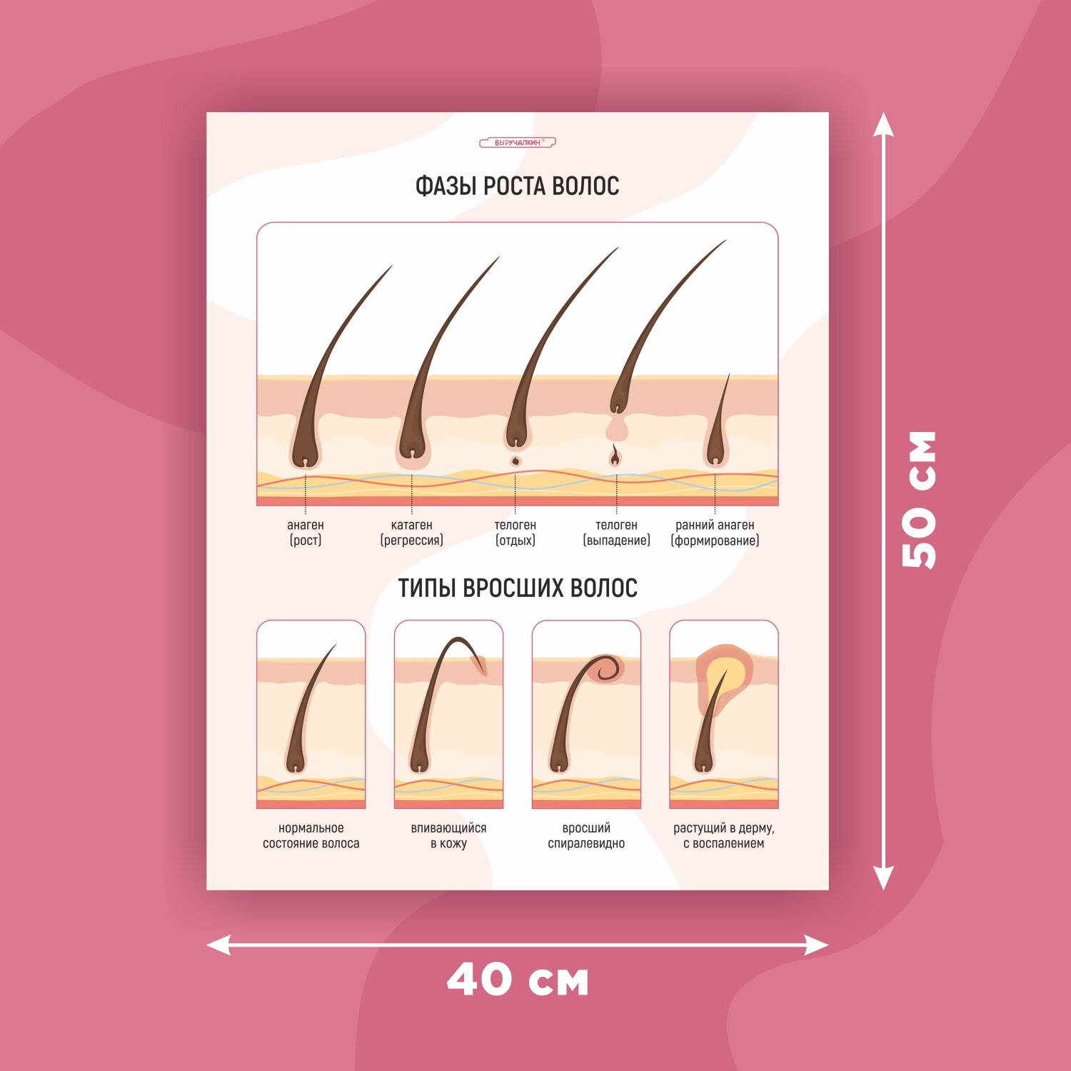 Набор плакатов «Для мастера депиляции», Выручалкин — фото 1