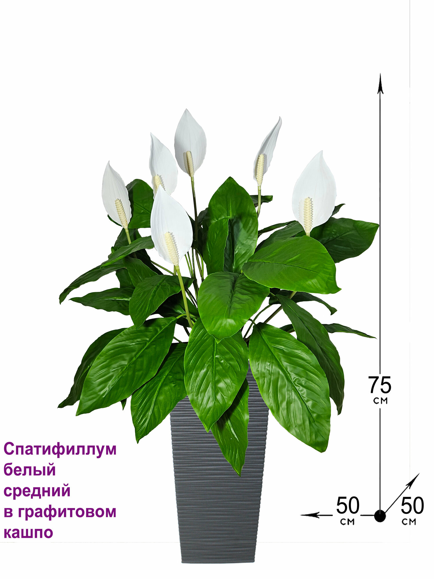 Искусственные цветы Спатифиллум белый средний в высоком кашпо графит 36см от ФитоПарк