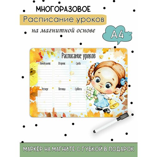 Расписание настенное уроков на магнитной основе А4 385₽