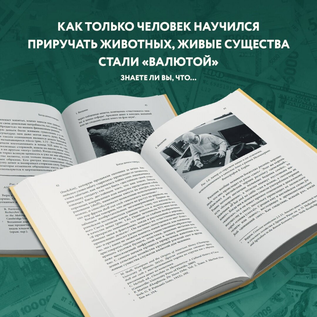 Когда деньги говорят. История монет и нумизматики от древности до поп-культуры - фото №5