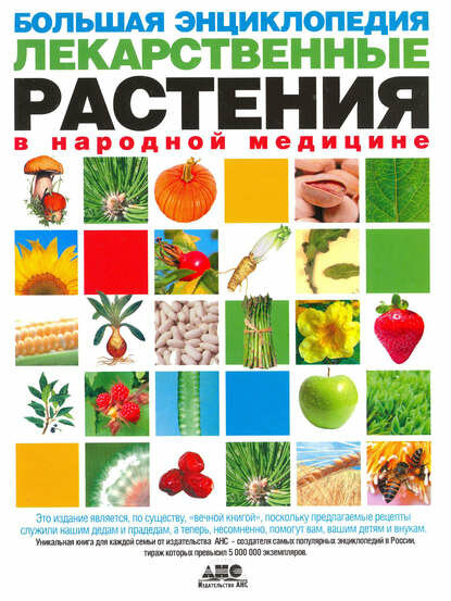 Большая энциклопедия. Лекарственные растения в народной медицине [Цифровая книга]