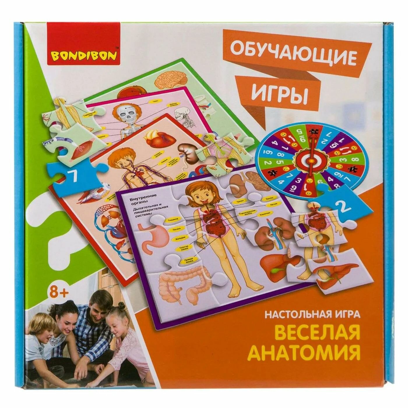 Игра обучающая, настольная "ВЕСЕЛАЯ АНАТОМИЯ" (ВВ3792) Bondibon - фото №13