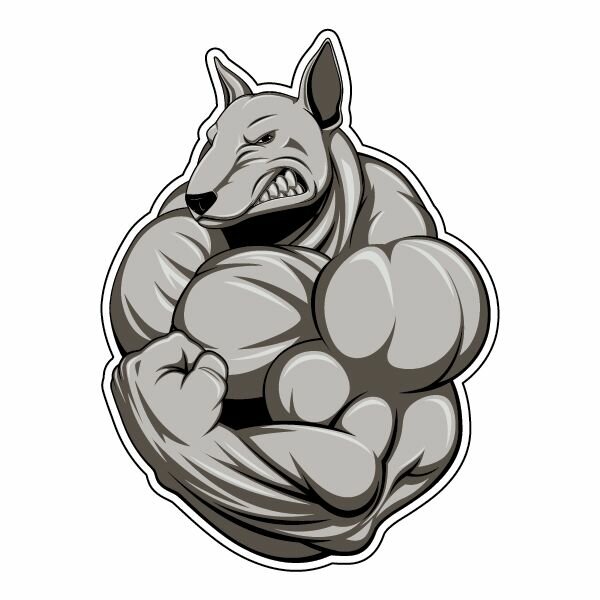 Наклейка Бультерьер бодибилдер 11х15 см