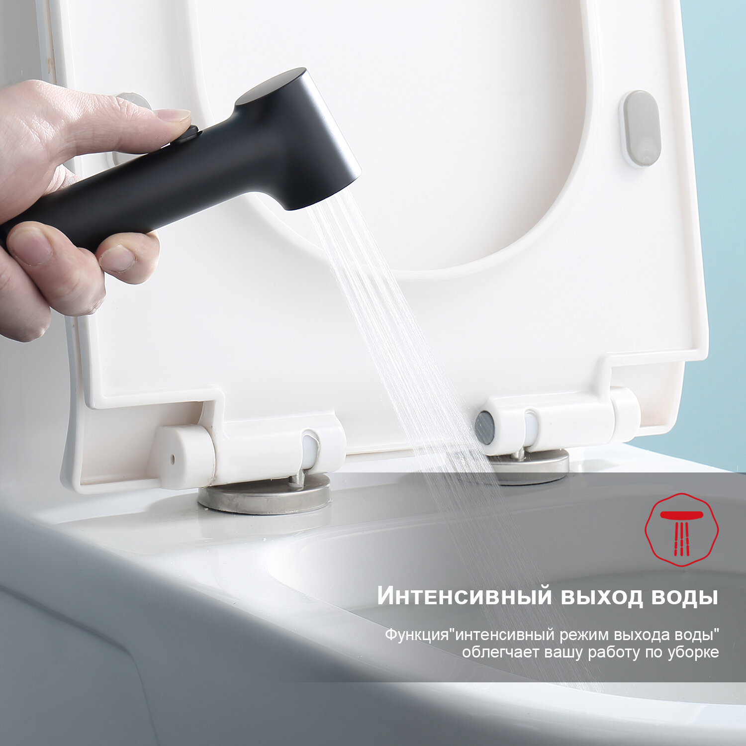 Смеситель с гигиеническим душем встраиваемый Raglo R03.53.06, латунь, черный — фото 1