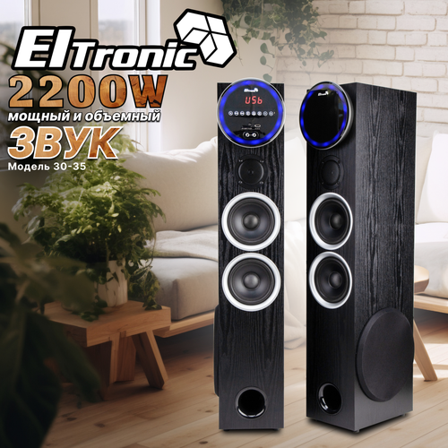 Акустическая колонка 30-35ELTRONIC HOME SOUND (черная)