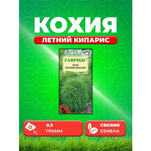 Кохия Летний кипарис (веничная) 0,3 г DH семена кохия летний кипарис 0 3 гр 2 подарка