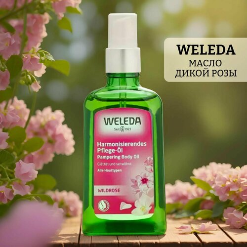 Масло дикой розы weleda wild rose pampering body oil масло расслабляющее с лавандой weleda lavender relaxing body oil 100 мл