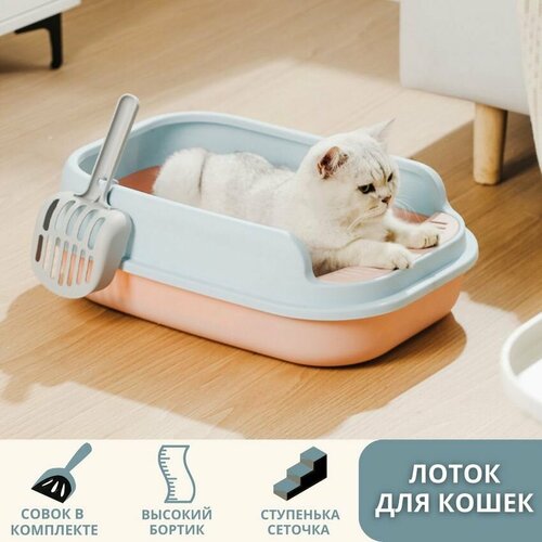 Лоток для котов и кошек с совком. Туалет для домашних животных