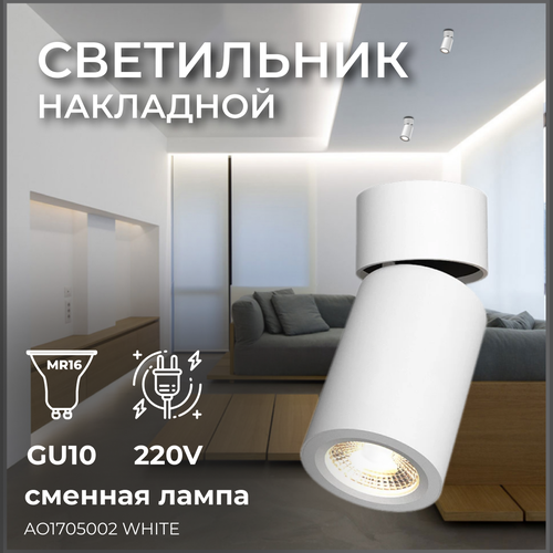 Накладной светильник под сменную лампу. Спот потолочный AO1705001 White