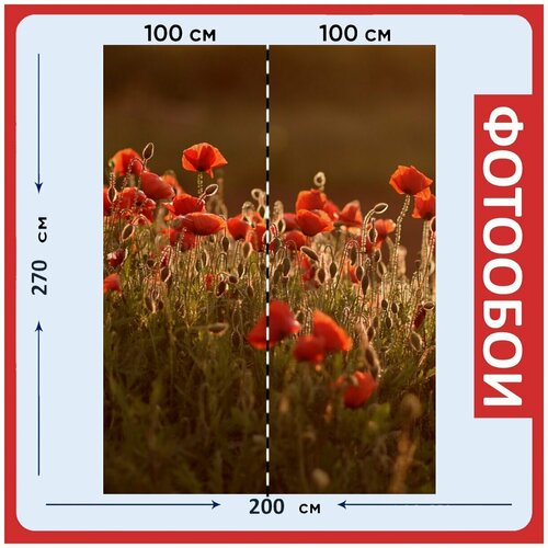 Фотообои Маки красный простой 200x270 см флизелиновыена стену 2930₽