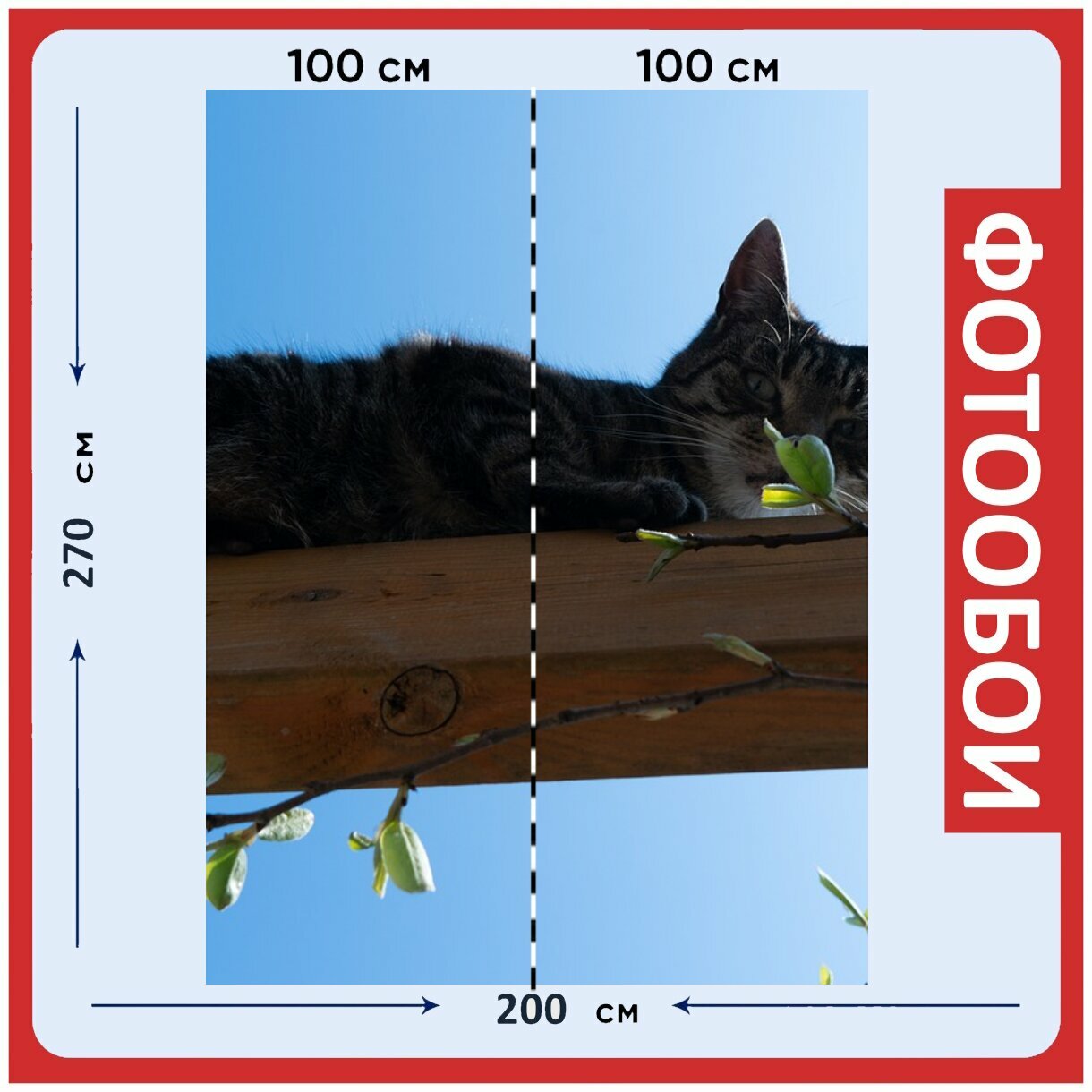 Фотообои "Кошка, хищник, тигр" 200x270 см. флизелиновыена стену