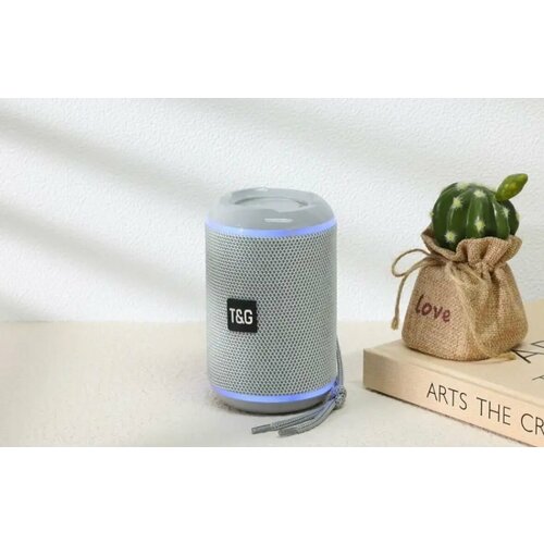 TG-291 Gray 115000₽