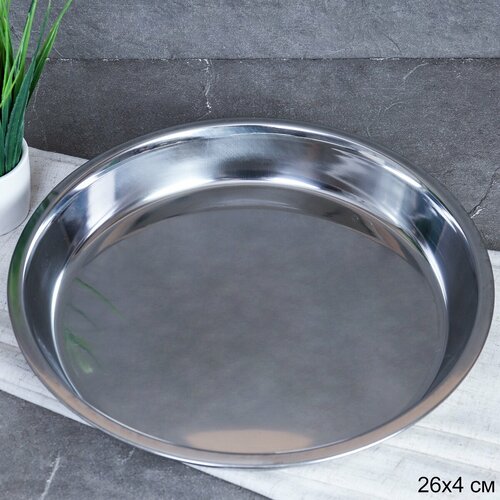 Поднос блюдо металлическое 255 см для подачи и сервировки 469₽