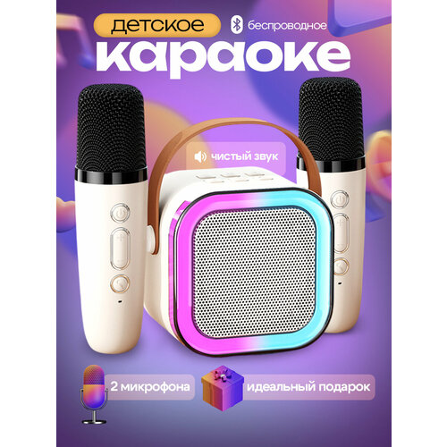 Караоке система с микрофонами 87200₽