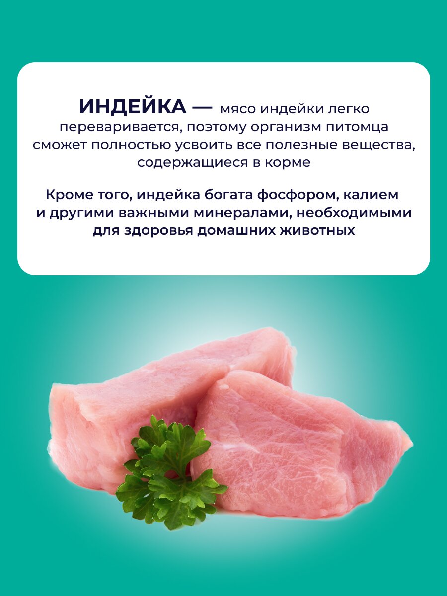 Влажный корм Jarvi Preventive diet line Gastrointestinal для кошек для профилактики заболеваний ЖКТ (соус) Индейка, 85 г х 12 шт. — фото 1