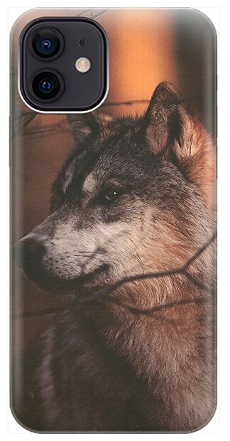 Силиконовый чехол на Apple iPhone 12 / 12 Pro / Эпл Айфон 12 / 12 Про с рисунком "Красивый волк"