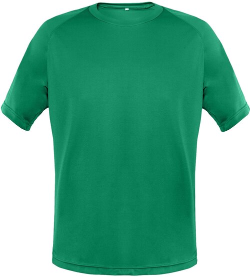 Футбольная футболка РО-СПОРТ, размер L, зеленый
