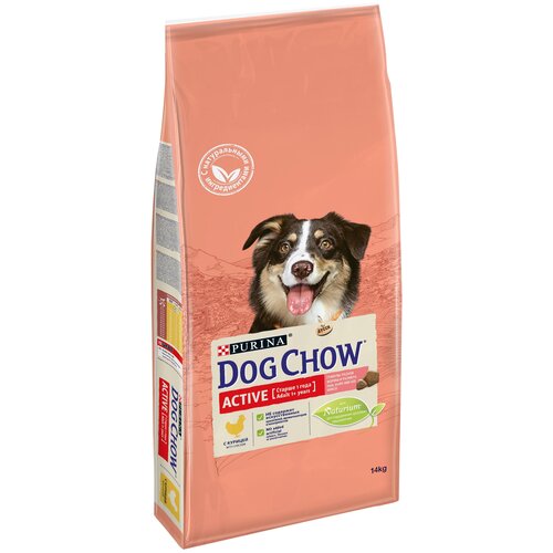 Корм сухой DOG CHOW Active Adult для взрослых активных собак с курицей 14 кг