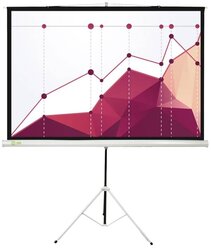 Рулонный матовый белый экран cactus Triscreen CS-PST-180x180